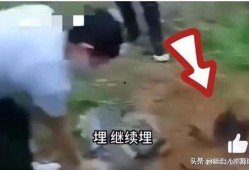 逃生最新爆料视频大全集