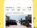 中文字幕在线观看香蕉,中文字幕在线观看的甜蜜之旅