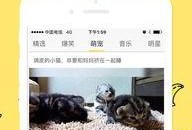 中文字幕在线观看香蕉,中文字幕在线观看的甜蜜之旅