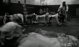人体蜈蚣2在线观看完整版,生死较量，极限挑战