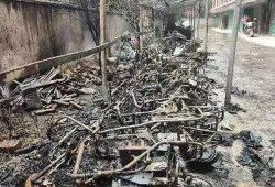 安远县事件爆料最新,真相与反思