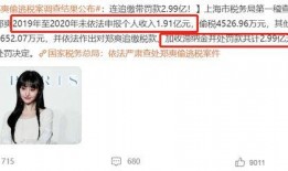 娱乐圈爆料漏税的明星,揭秘漏税明星背后的税务风波