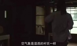 小森林电影在线观看,悠然自得，回归自然的田园生活