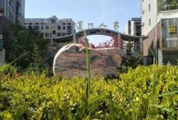 运河人家在线观看