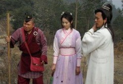 龙行天下爆料视频大全集,揭秘爆料视频大全集精彩瞬间