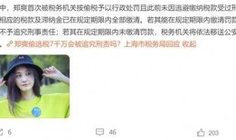 娱乐圈爆料漏税的明星,揭秘漏税明星背后的税务风波