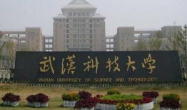 武汉科技大学最新事件爆料,揭秘校园风云突变背后的真相