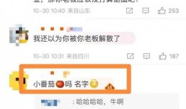 狗仔爆料何九华视频播放,何九华视频幕后揭秘，播放量惊人！