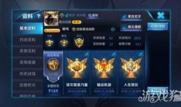 王者扁鹊爆料视频在线观看,揭秘游戏内幕与英雄技能新玩法
