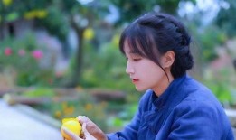 爆料大王李子柒视频大全,揭秘田园生活的诗意与美好
