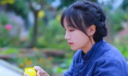 爆料大王李子柒视频大全,揭秘田园生活的诗意与美好