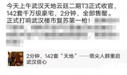 武汉天地爆料事件视频,事件真相揭秘