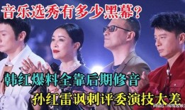韩红爆料选秀视频,一场关于梦想与坚持的视听盛宴