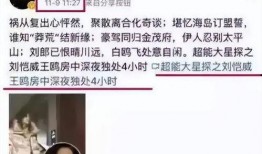 刘大锤爆料出轨视频,真相与争议并存