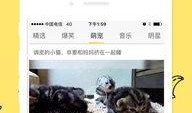 中文字幕在线观看香蕉,中文字幕在线观看的甜蜜之旅