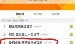 卓伟爆料自己唱歌视频,揭秘娱乐圈幕后歌手之谜