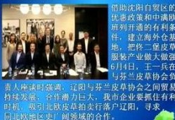 最新辽阳爆料新闻事件,神秘事件引发社会关注