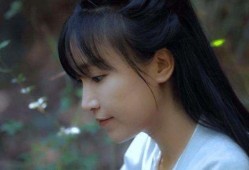 爆料大王李子柒视频大全,揭秘田园生活的诗意与美好