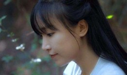 爆料大王李子柒视频大全,揭秘田园生活的诗意与美好