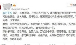 写吃瓜娱乐文怎么取笔名,揭秘娱乐圈幕后，笔名背后的故事