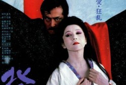 北之萤在线观看,穿越时空的奇幻之旅