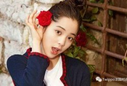 娱乐圈吃瓜资深少女文,揭秘那些年我们追过的“瓜”
