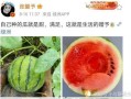娱乐圈吃瓜的瓜,揭秘明星背后的故事与争议