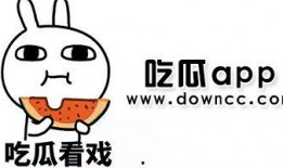 吃瓜吐槽的网红是谁,揭秘其爆红背后的故事
