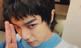 最新爆料男星有哪些人,最新爆料，男星人生大揭秘