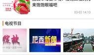 肥西女婿爆料视频播放,揭秘背后惊人真相
