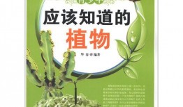 青少年植物人技能爆料视频,视频爆料背后的惊人真相