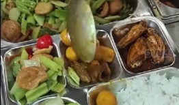 怎么爆料食堂烂菜呢视频,如何通过视频曝光烂菜现象