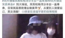 刘大锤爆料出轨视频,真相与争议并存