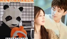 吴磊狗仔爆料事件视频,揭秘娱乐圈幕后真相