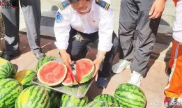 叶县网红吃瓜事件视频,一场网络狂欢背后的真相揭秘