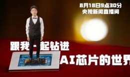 小撒爆料视频,娱乐圈幕后真相大曝光