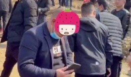 农民二哥爆料事件视频,揭秘背后惊人真相