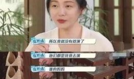 海清爆料宋佳视频大全集,揭秘娱乐圈背后的风云变幻