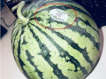 网红吃瓜打包,盘点那些令人捧腹的打包瞬间