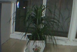 桂林新闻爆料论坛网,揭秘桂林最新热点事件！