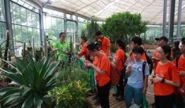 青少年植物人技能爆料视频,视频爆料背后的惊人真相