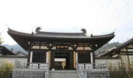 黄山梓路寺爆料视频播放,爆料视频带你领略古刹魅力