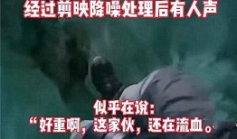 星际网红爆料事件视频在线观看,揭秘神秘事件背后的真相