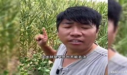 农民二哥爆料事件视频,揭秘背后惊人真相