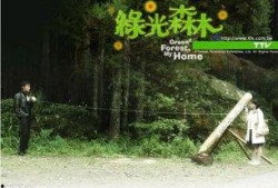 绿光森林土豆在线观看,探寻神秘森林的奇幻之旅