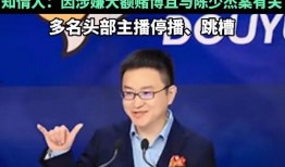 央视新闻爆料陈少杰事件,涉嫌违法乱纪，真相令人震惊