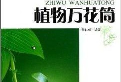 青少年植物人技能爆料视频,视频爆料背后的惊人真相