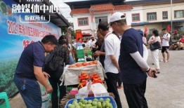 吃瓜群众第五集免费观看,揭秘幕后真相，免费观看大揭秘！