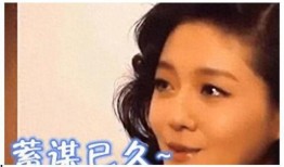 爆料中国娱乐圈事件真相,揭开真相背后的秘密与内幕