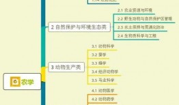 吉林公园爆料视频大全集,揭秘公园里的那些事儿